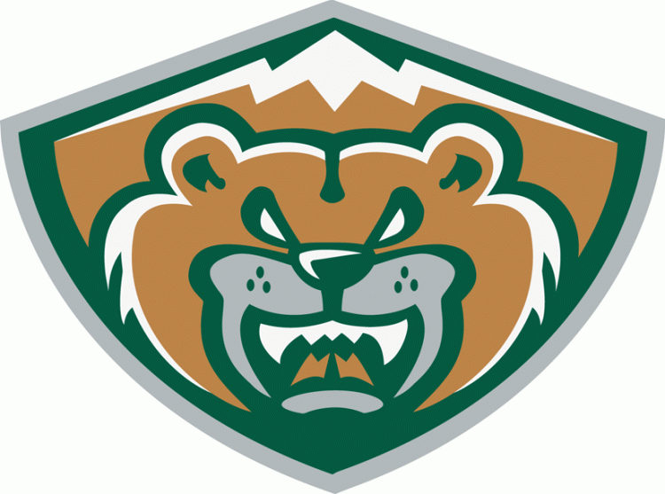 everett silvertips 2012-pres alternate logo v3 iron on heat transfer...